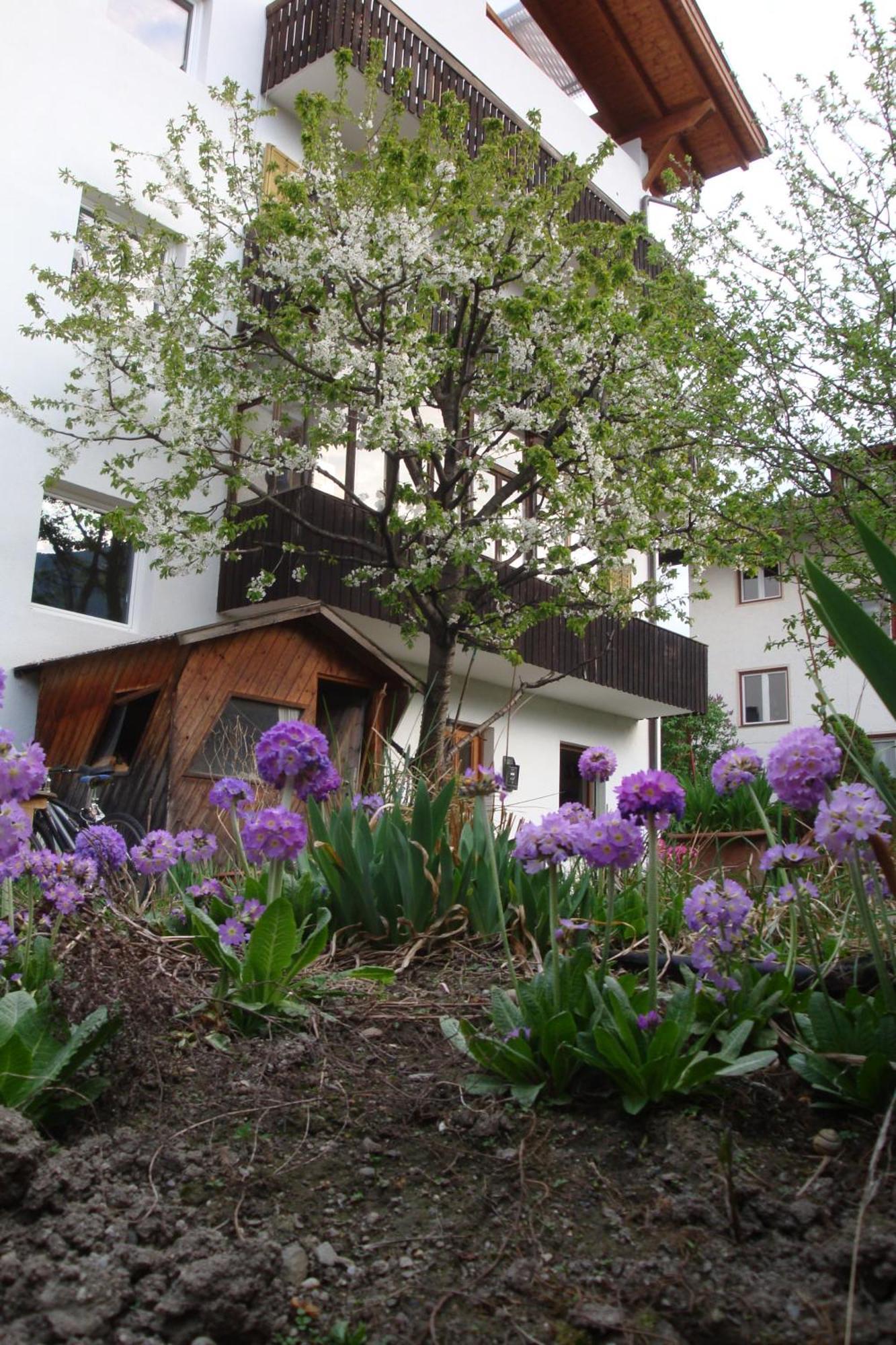 Residence Hofer Brixen Exteriér fotografie